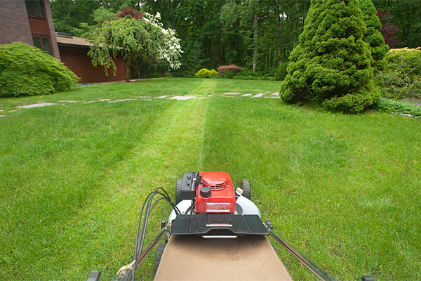 budget landscape lawn mowing service