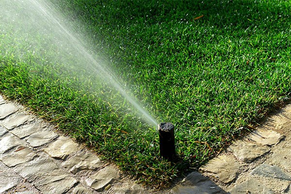 budget landscape lawn irrigation repair and installation