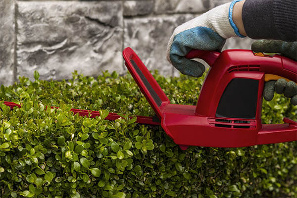 yard maintenance services