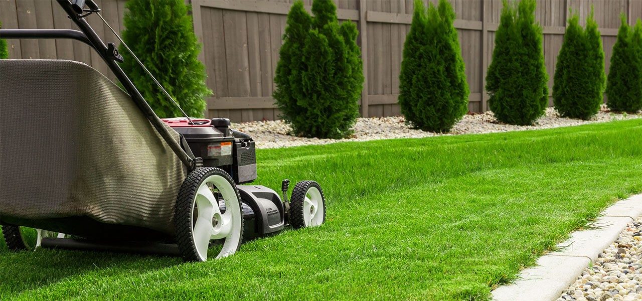 budget landscape lawn care