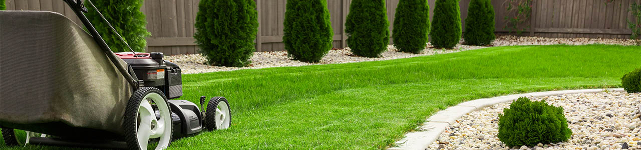 budget landscape lawn care services