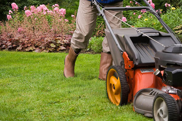 lawn care services
