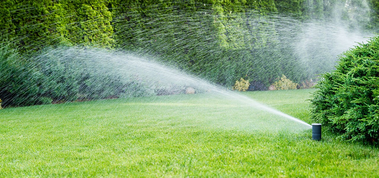 sprinkler system installations budget landscape