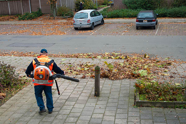 walkway cleaning leaf blower services