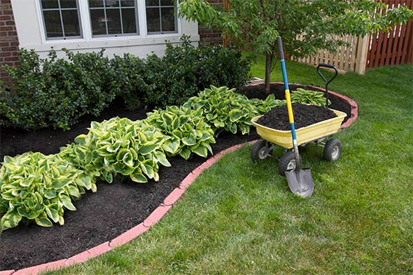 budget landscape garden mulch